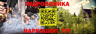 ешки Гай