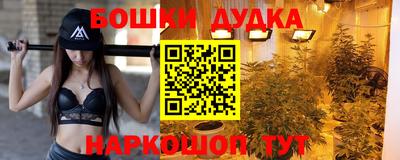 ешки Гай
