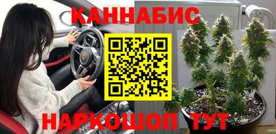 apvp Гагарин