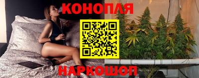 ешки Гай