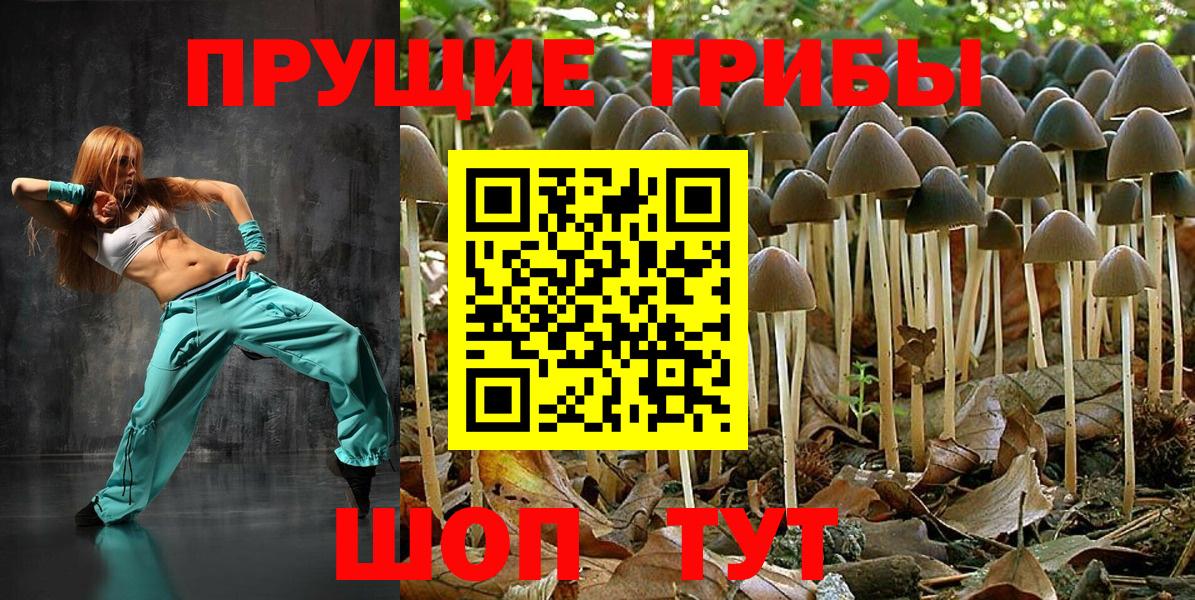 Галлюциногенные грибы мухоморы  Донской 