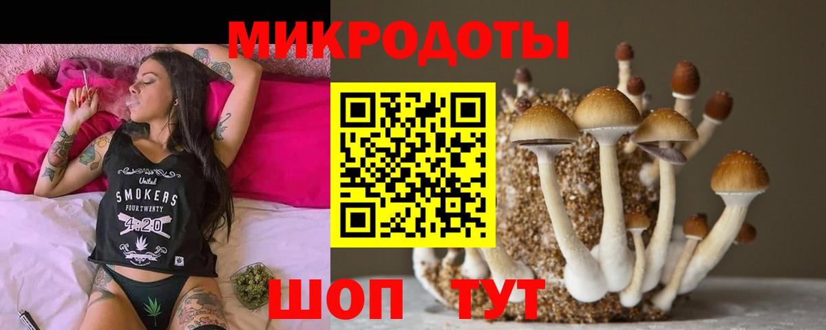 Донской  Галлюциногенные грибы мухоморы  Вход с VPN 