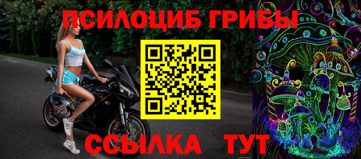 Псилоцибиновые грибы мухоморы Донской