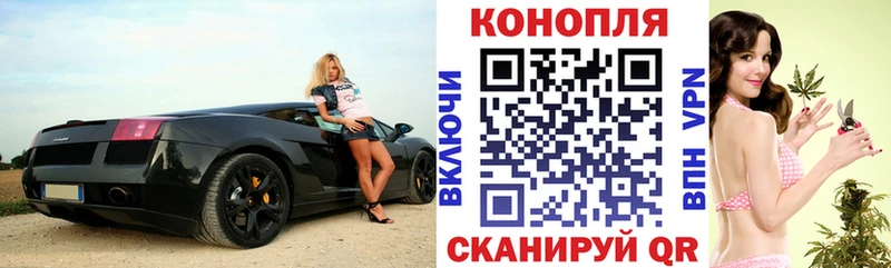 Бошки марихуана ГИДРОПОН  OMG онион  Донской 